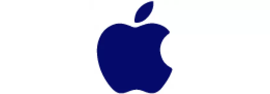 APPLE APPLE