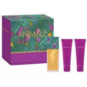 Kit Perfume Animale EDP Femenino 100ml + Sower Gel...