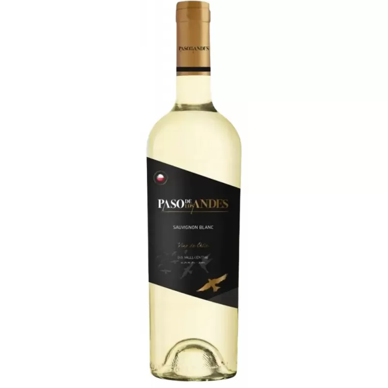 Vino Paso De Los Andes Sauvignon Blanc 2022 - 750m...