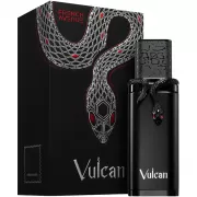 Perfume French Avenue Vulcan Black Friday EDP Masc...