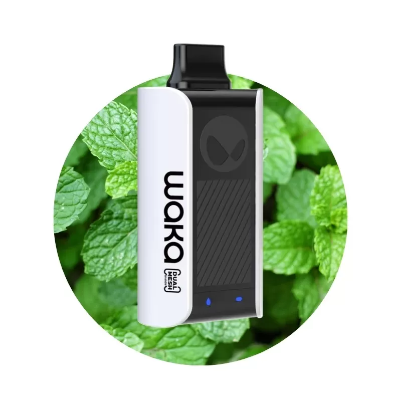 Vaper Descartable WAKA soPro PA10000 5% Nicotina 10000 Puffs - Fresh Mint